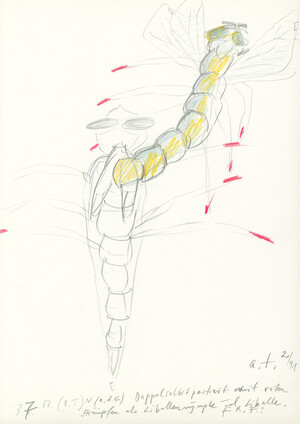 doppelselbstportrait mit roten strümpfen als libellennymphe und libelle (3.7.91)